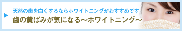 page_bnr_08